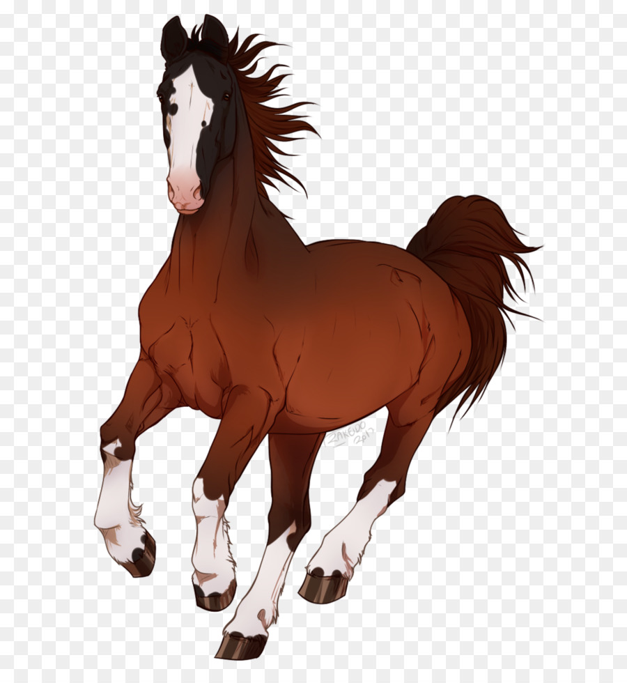 Caballo Corriendo，Animal PNG