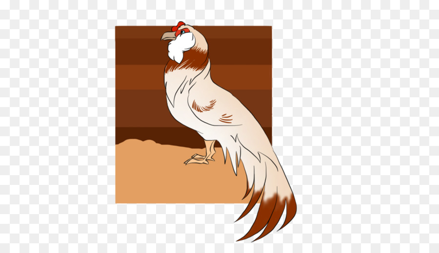 Gallo，Aves PNG