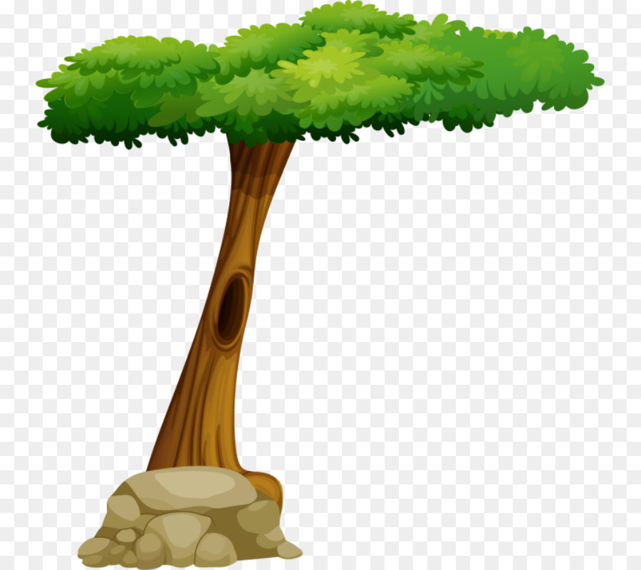 Árbol，Hojas PNG