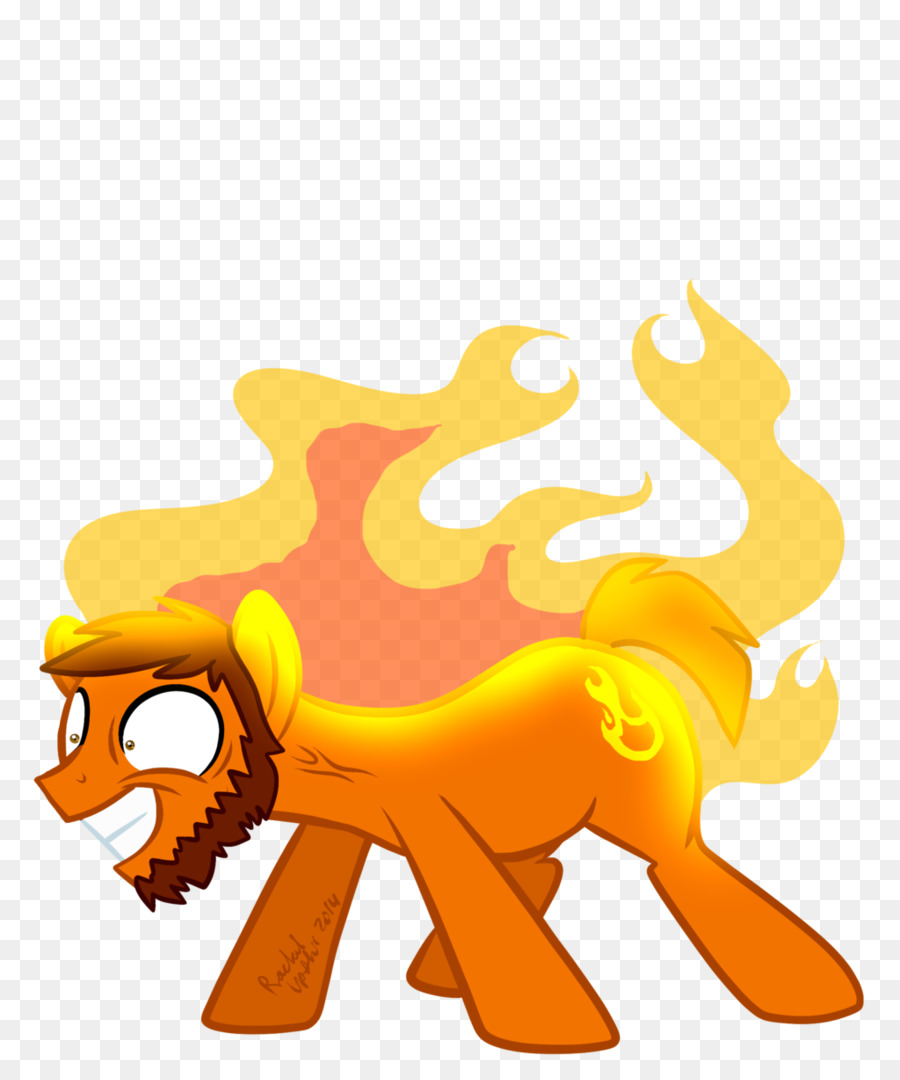 Pony，Caballo PNG