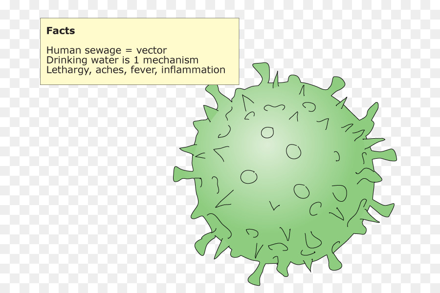 Verde，Diagrama De PNG