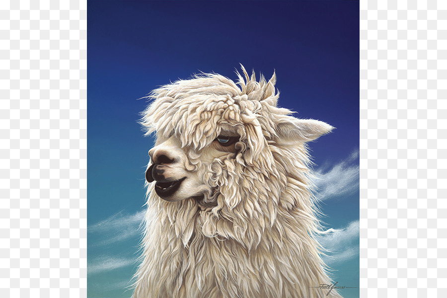 Alpaca，Llama PNG