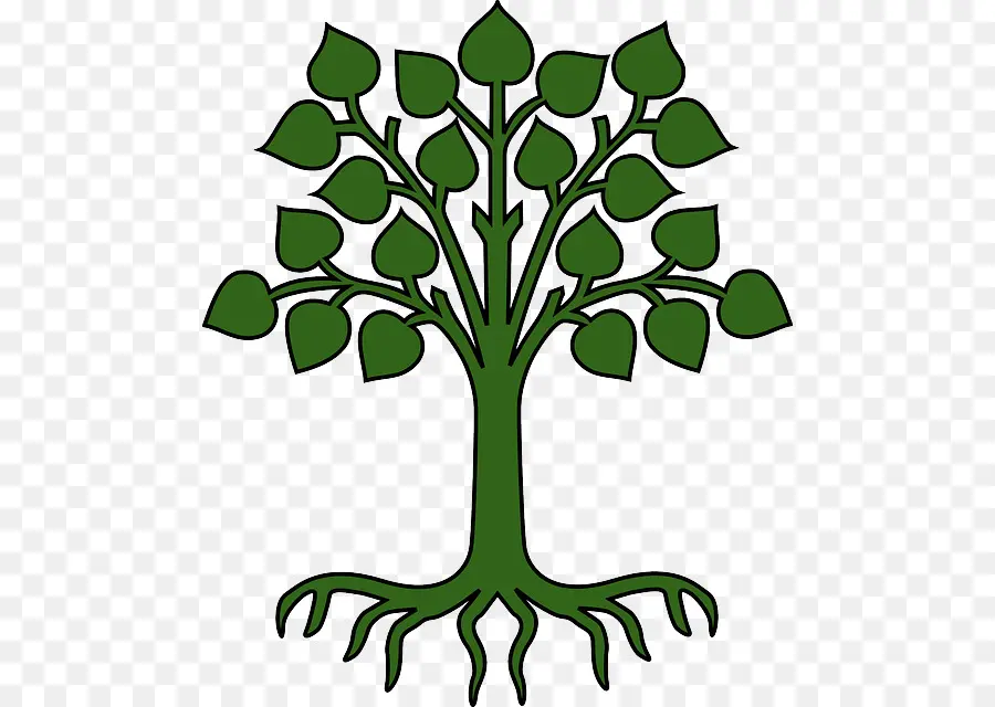 Árbol，Naturaleza PNG