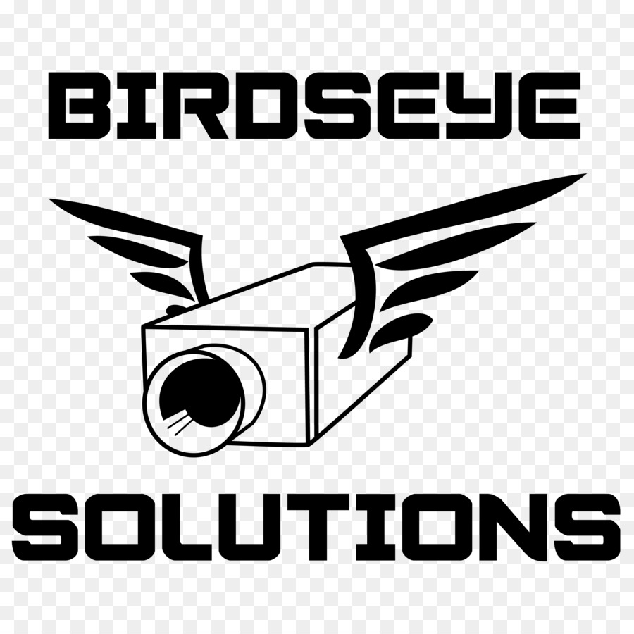 Logotipo，Birdseye Soluciones PNG
