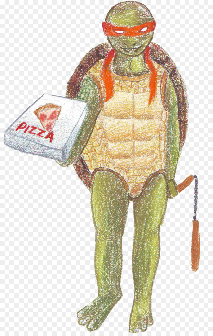 Diseño De Vestuario，Tortuga PNG