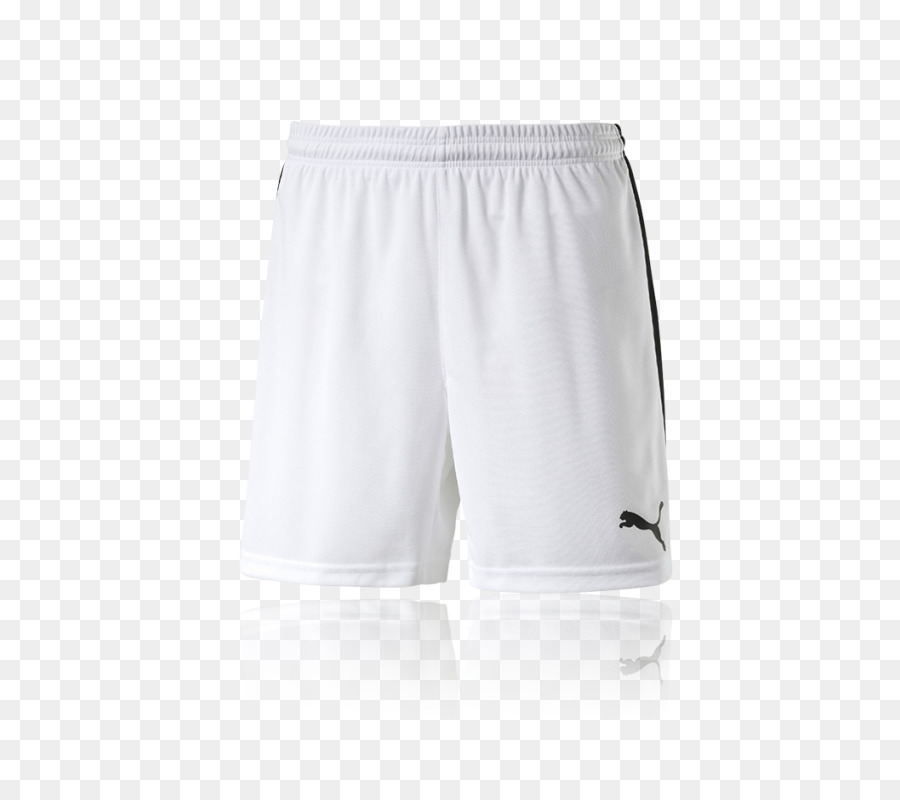 Bermudas，Pantalones Cortos PNG