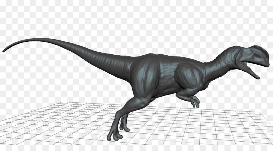 Velociraptor，Tyrannosaurus PNG