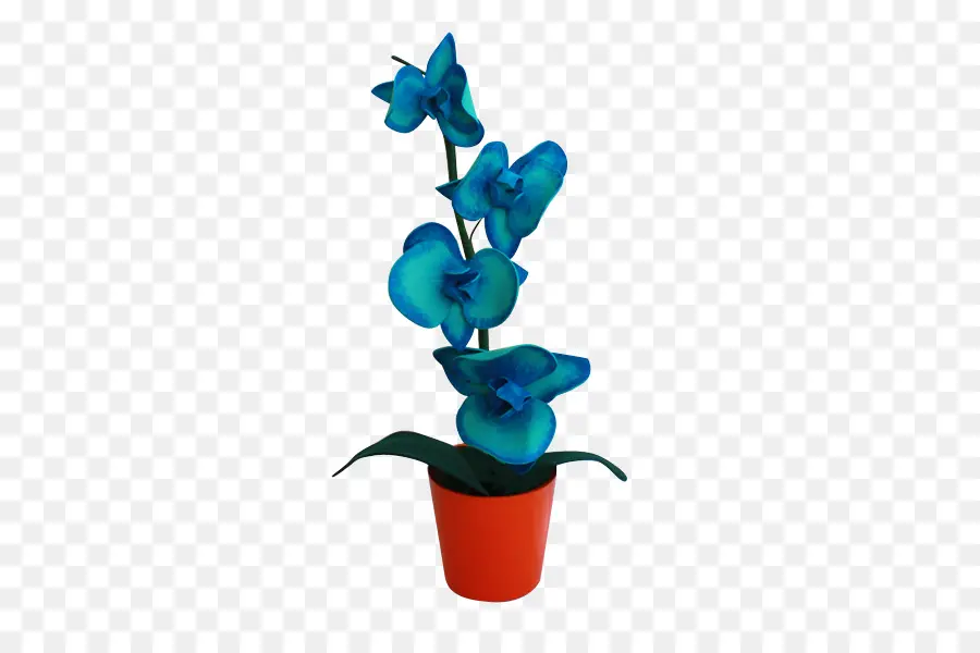 Orquídea Azul，Flores Azules PNG