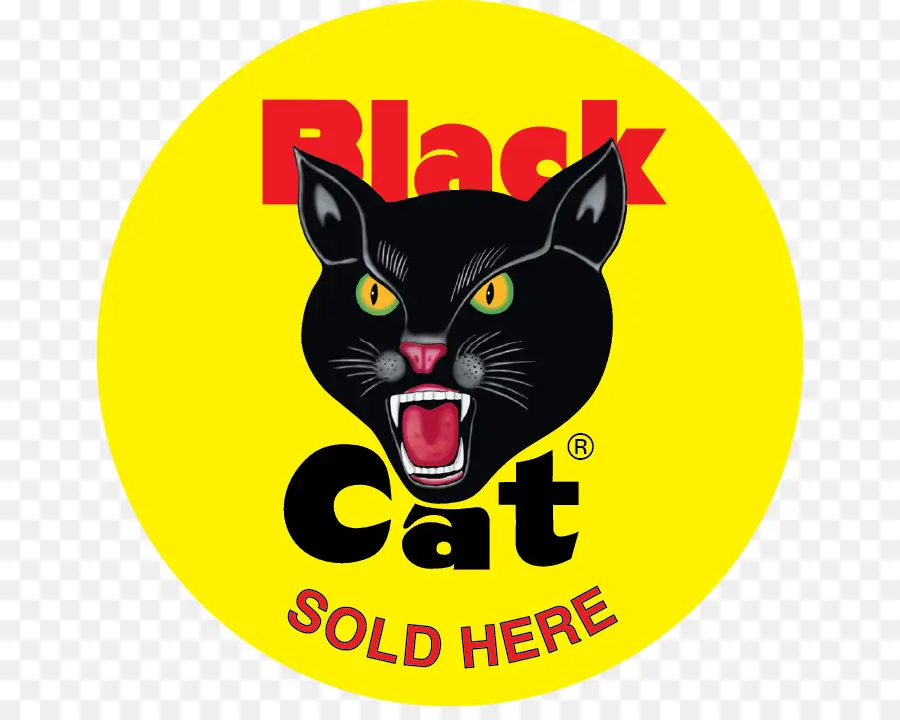 Gato Negro，Círculo Amarillo PNG