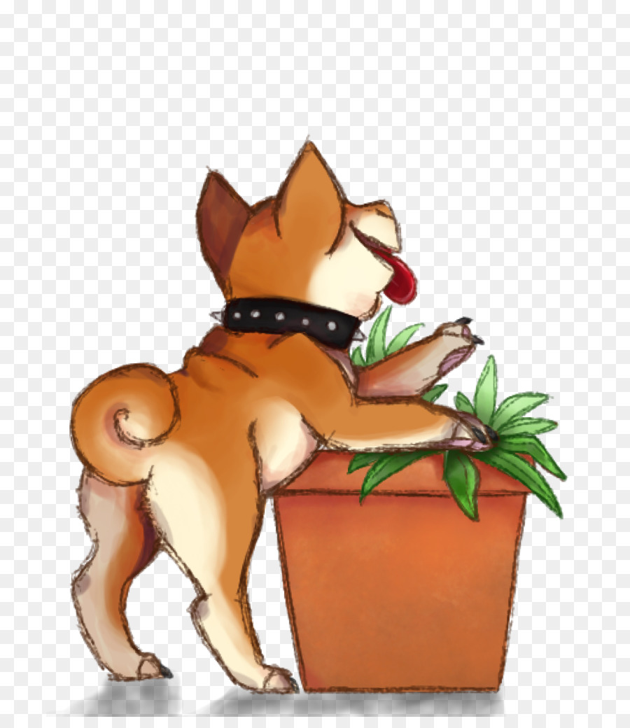 Gato，Perro PNG