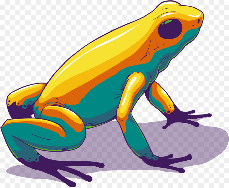 Rana Verde De Dibujos Animados，Animal PNG