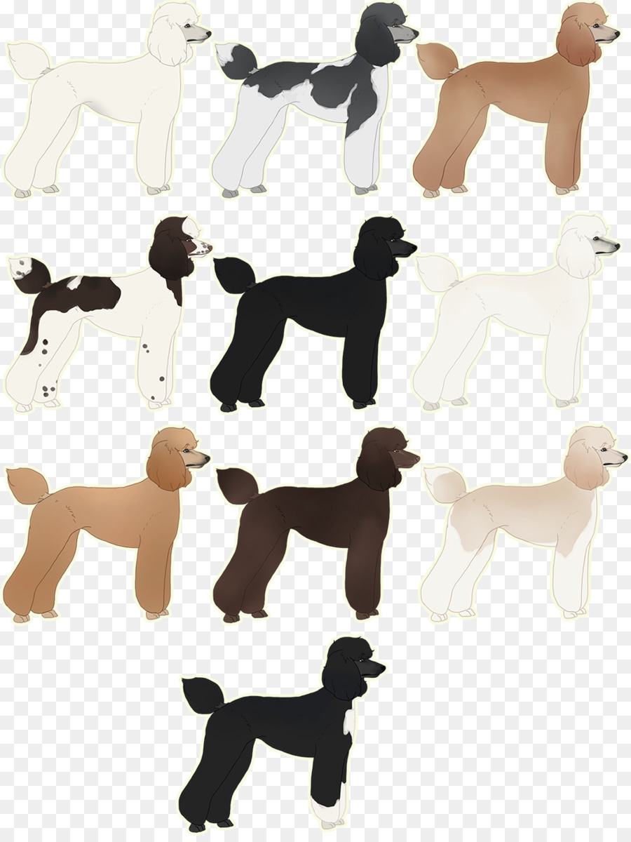 Ilustraciones De Caniche，Caniches PNG