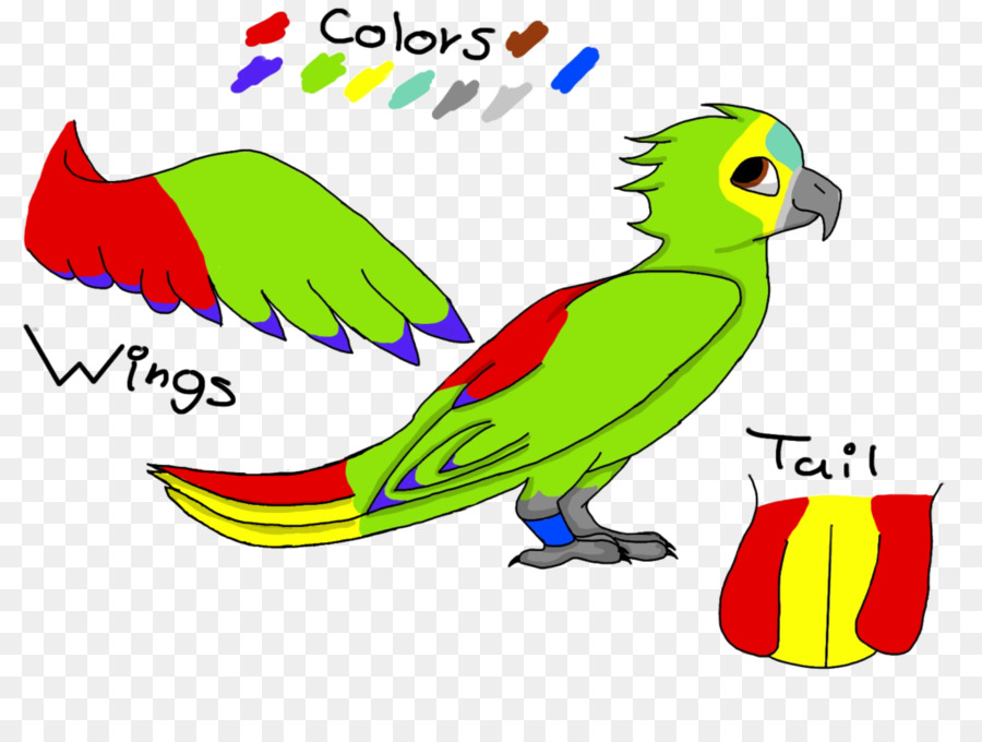 Guacamayo，Parakeet PNG