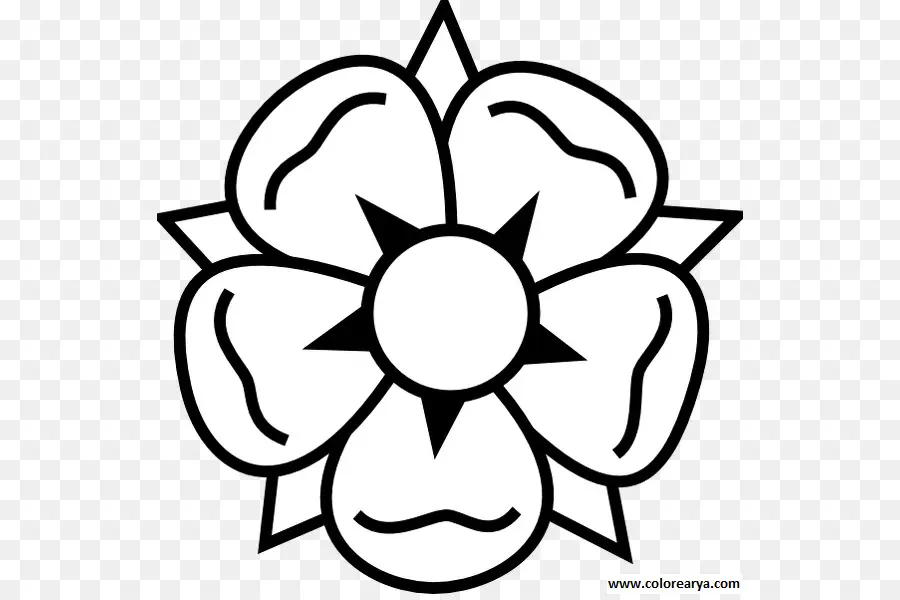 Flor，Dibujo PNG