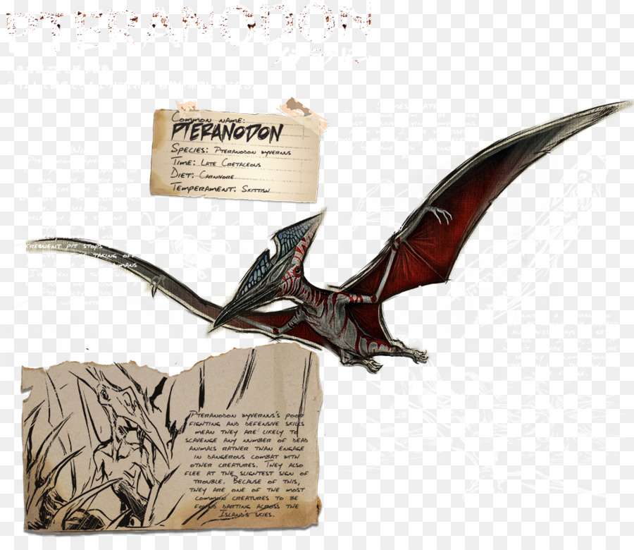 Pteranodon，Arca De Supervivencia Evolucionado PNG