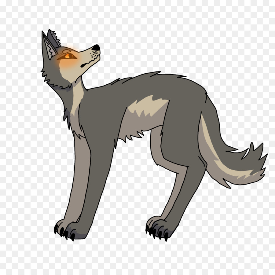 Coyote，Canidae PNG