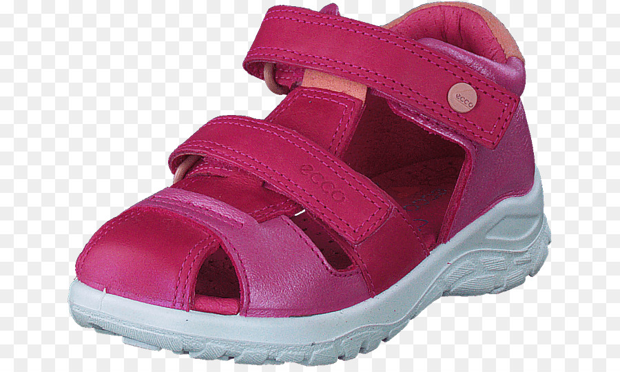 Sandalia，Zapato PNG