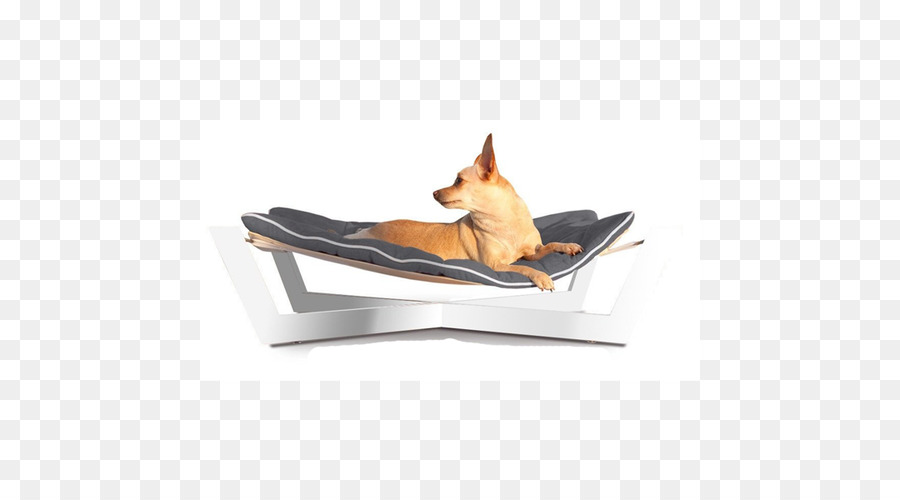 Perro，Cama PNG