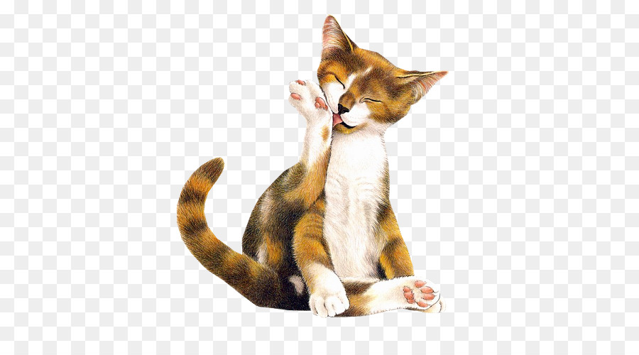 Gato，Animaatio PNG