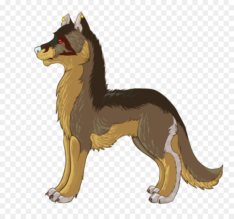 Lobo Gris，Canino PNG