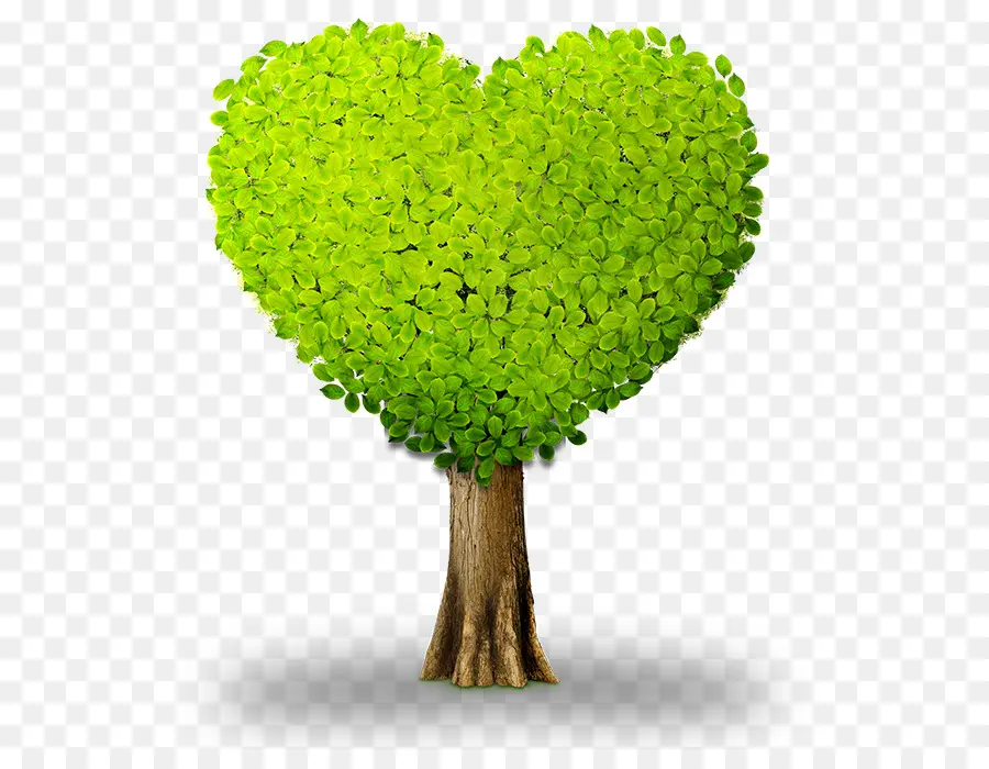 Corazón，Verde PNG