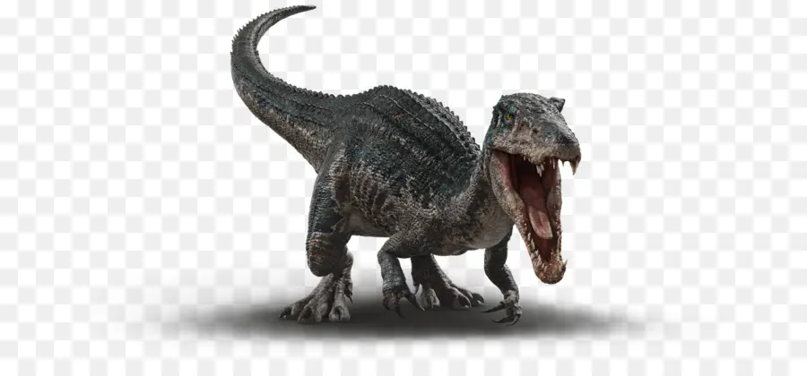 Tyrannosaurus，Velociraptor PNG