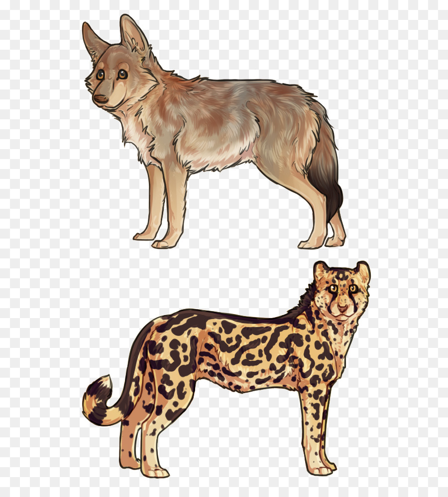 Gato，Raza De Perro PNG