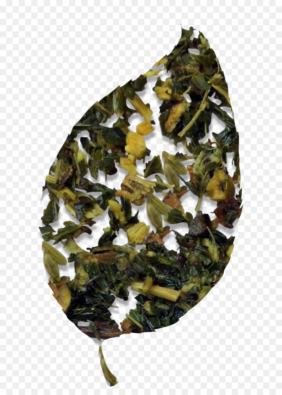 Tieguanyin，Hoja Vegetal PNG