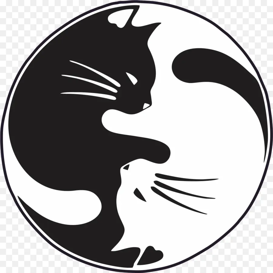 Gatos Yin Y Yang，Gatos PNG