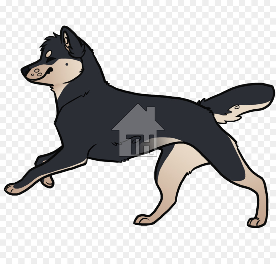 Kelpi Australiano，Cachorro PNG