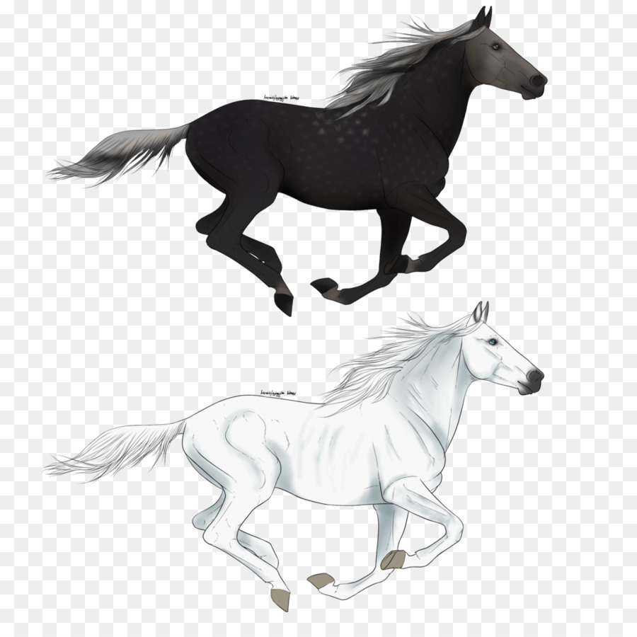 Caballo，Silueta PNG