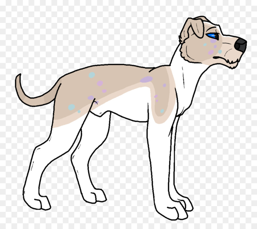 Raza De Perro，Lebrel Italiano PNG