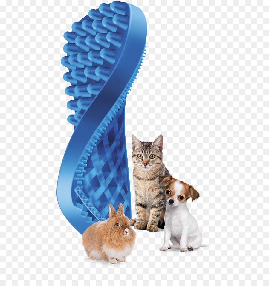 Gato，Peine PNG