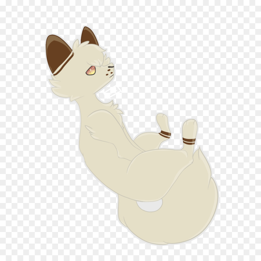 Bigotes，Gato PNG