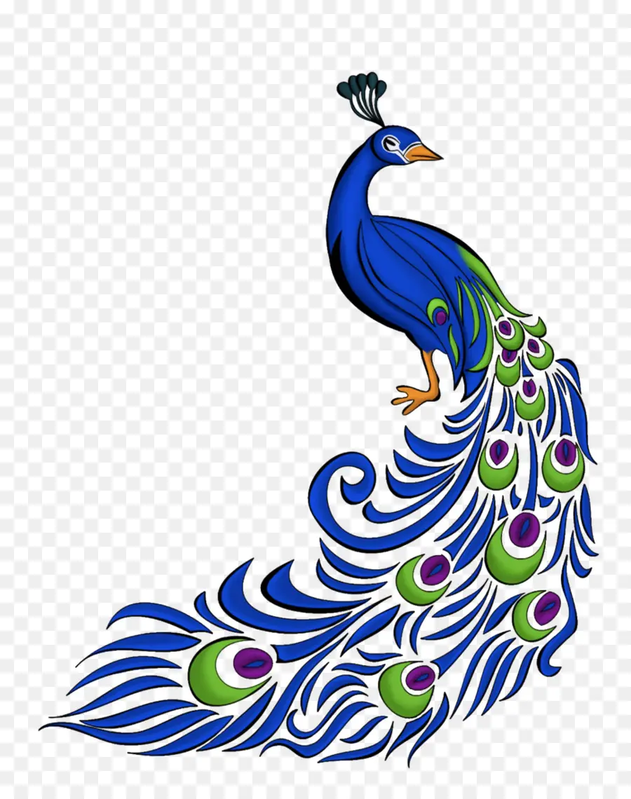 Pavo Real，Plumas PNG