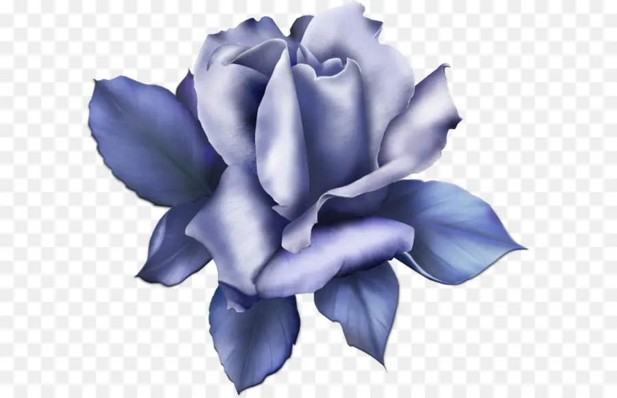 Rosa Azul，Floración PNG