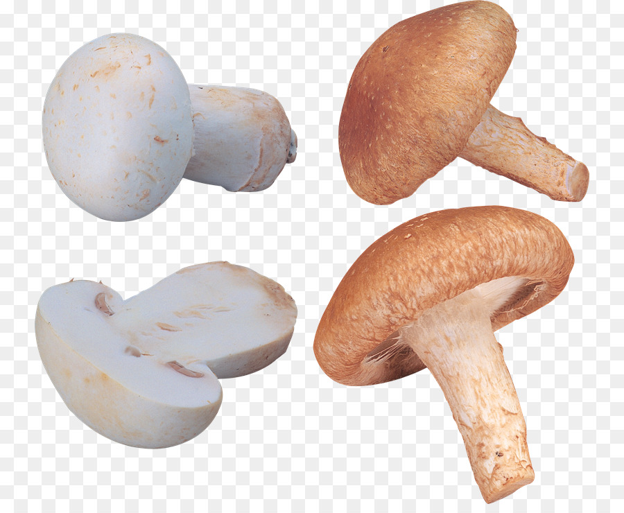 Hongos，Comestible PNG