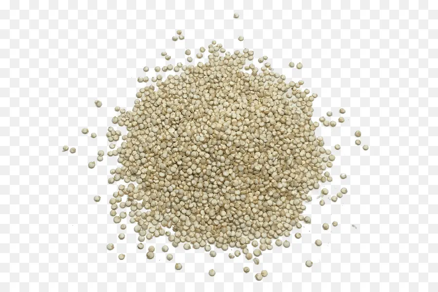 Quinoa，Granos PNG