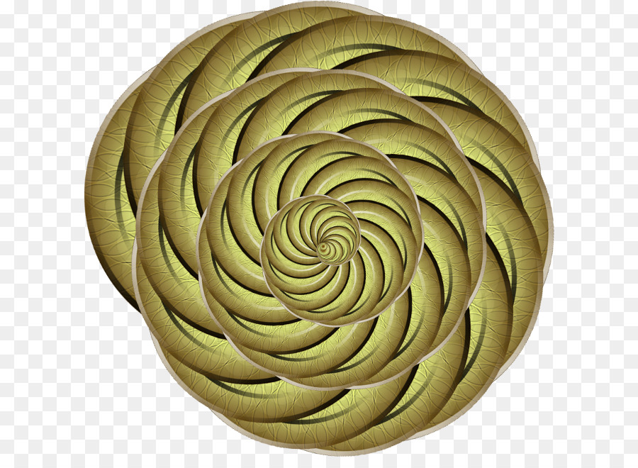 Organismo，Espiral PNG