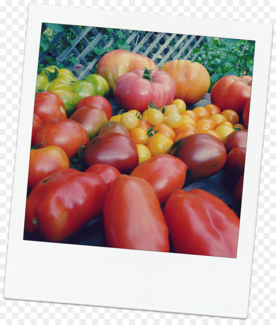 Tomate Ciruela，Cocina Vegetariana PNG