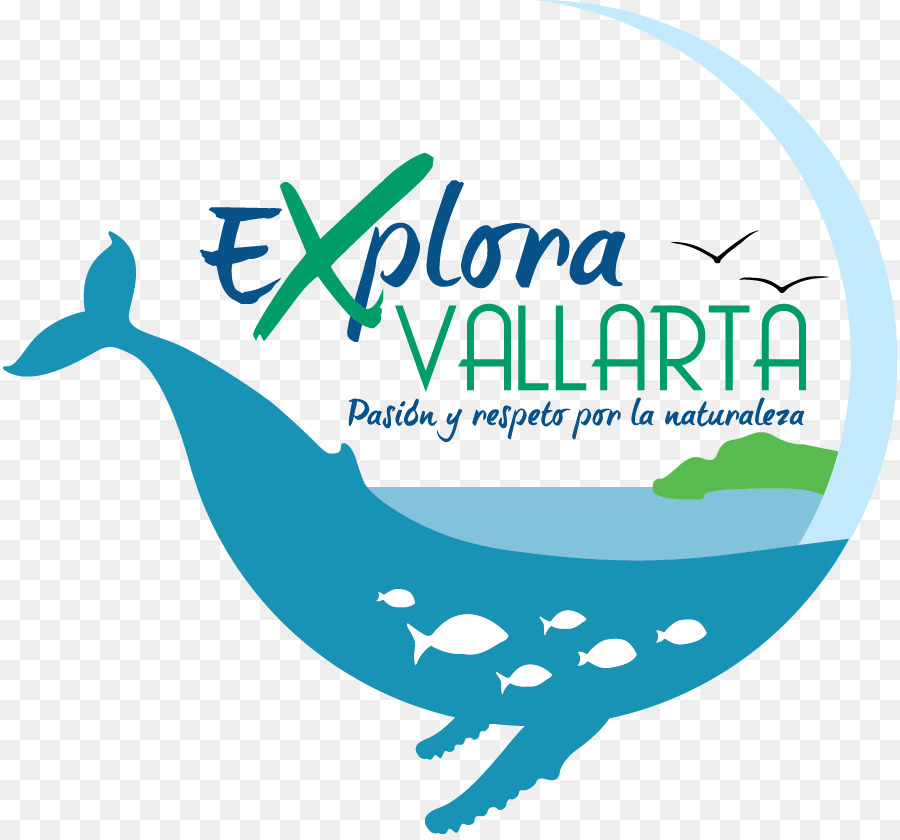 Puerto Vallarta，Logotipo PNG