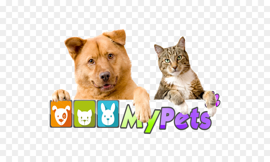 Perro，Gato PNG