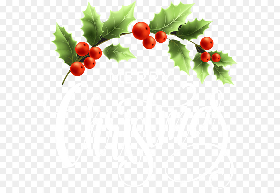 Acebo，Navidad PNG