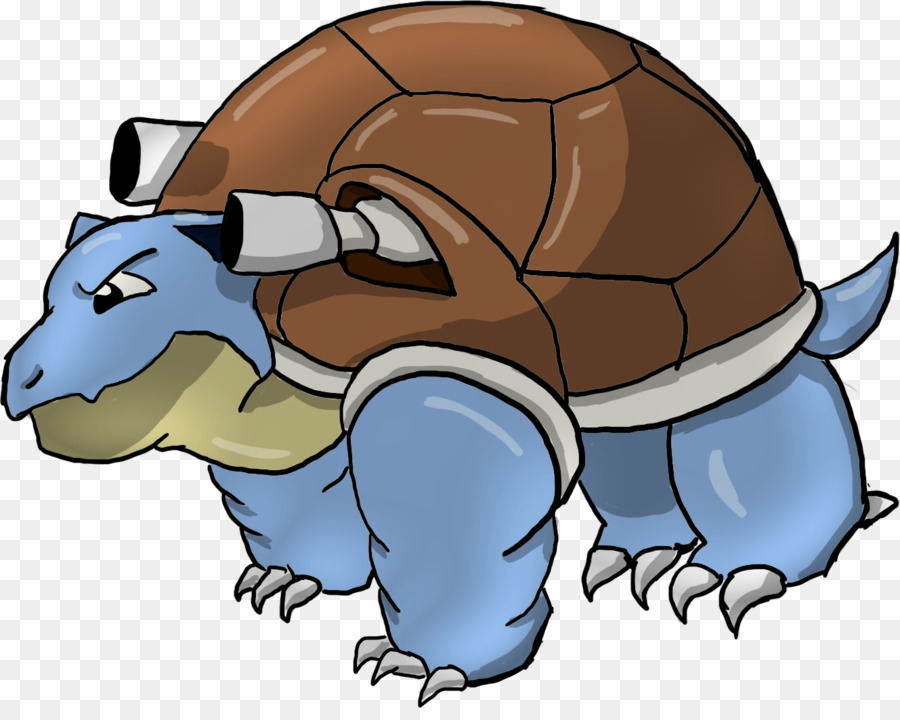 Tortuga，Armadillo PNG