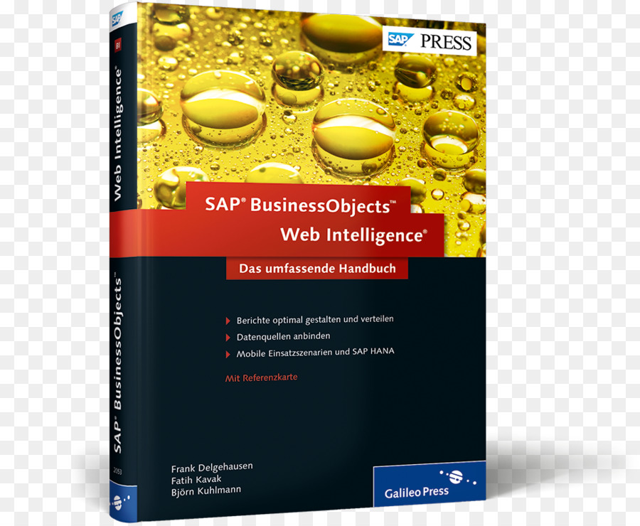 La Plataforma De Sap Businessobjects Web Intelligence La Guía Completa De La，Sap Netweaver Bw Y Sap Businessobjects La Guía Completa De La PNG