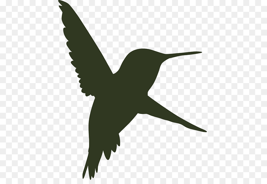 Pico，Aves PNG