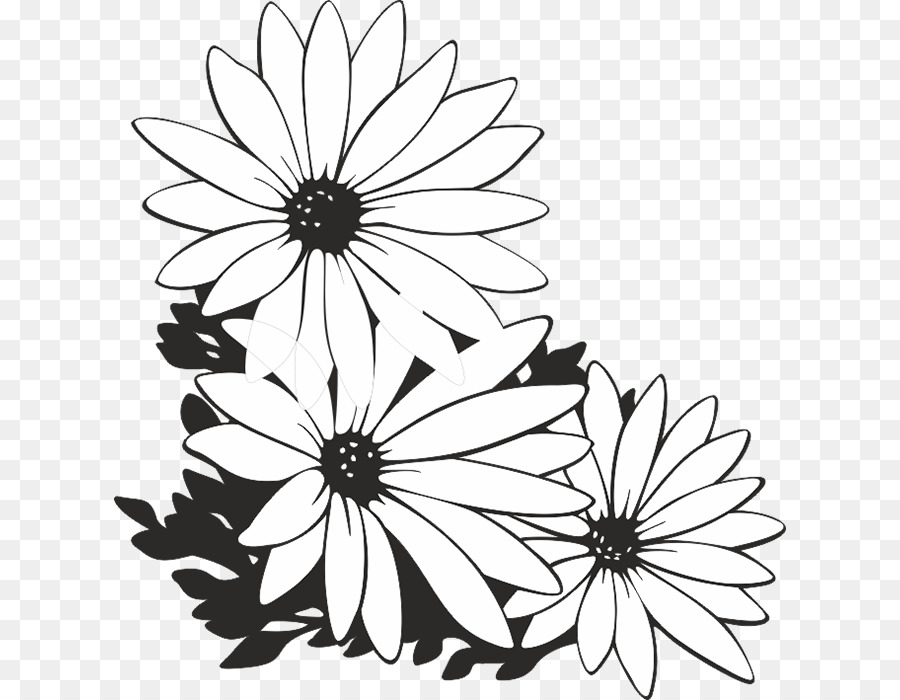 Flor，En Blanco Y Negro PNG