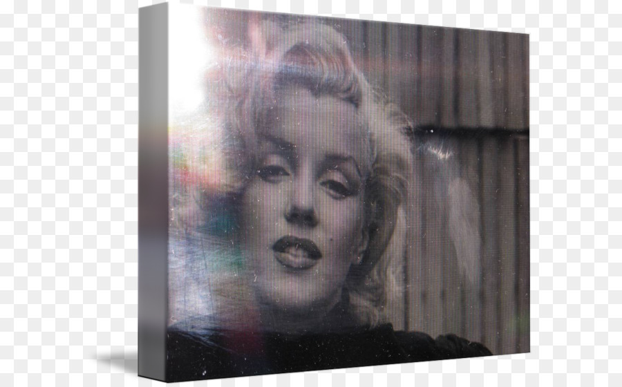 Marilyn Monroe，Retrato PNG