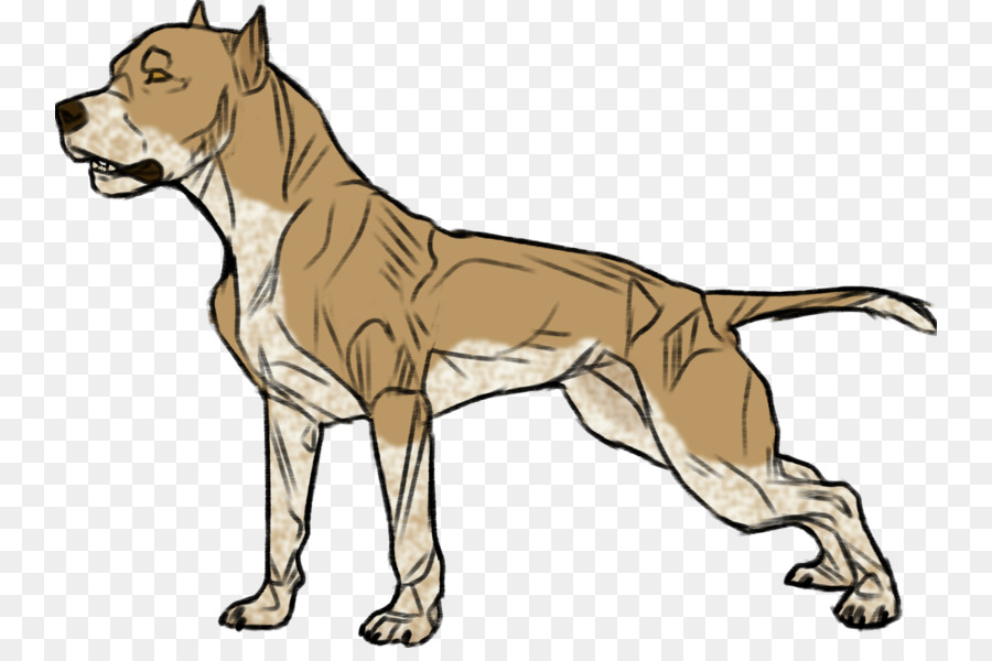 Raza De Perro，Nonsporting Grupo PNG