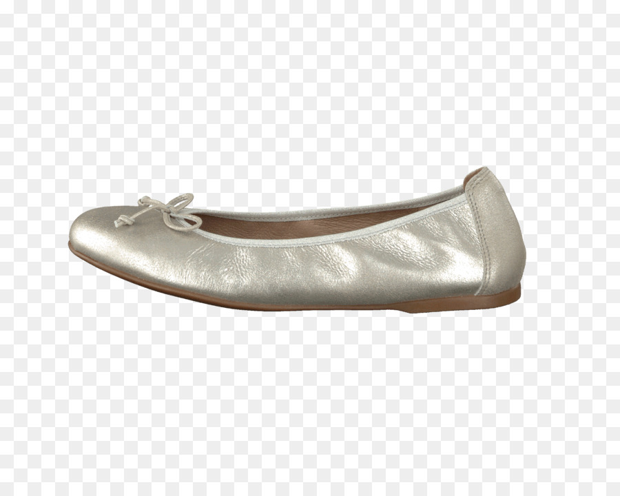 El Ballet Plana，Zapato PNG